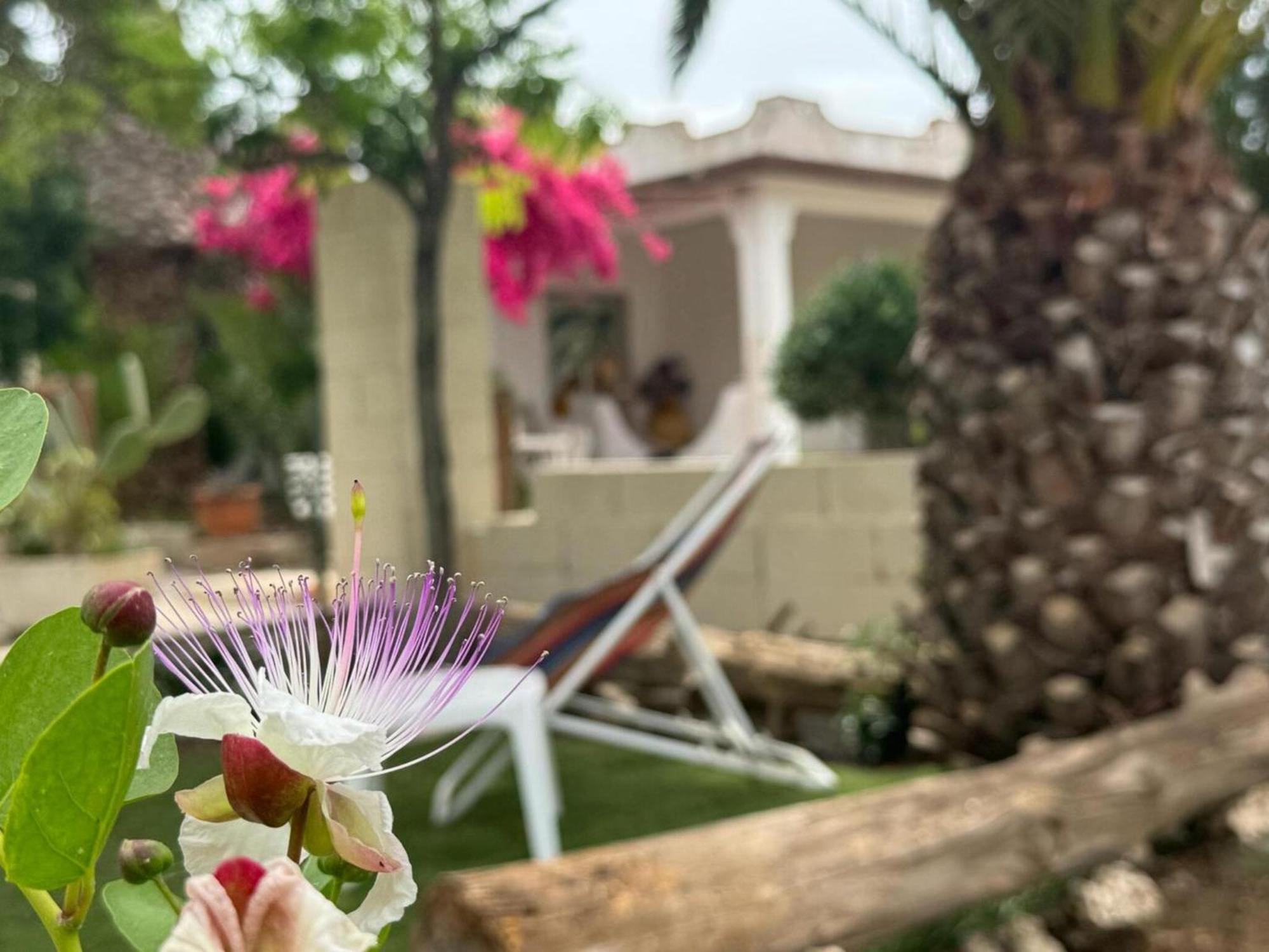 Villa Torretta - Mare Salento Marina di Lizzano Ngoại thất bức ảnh