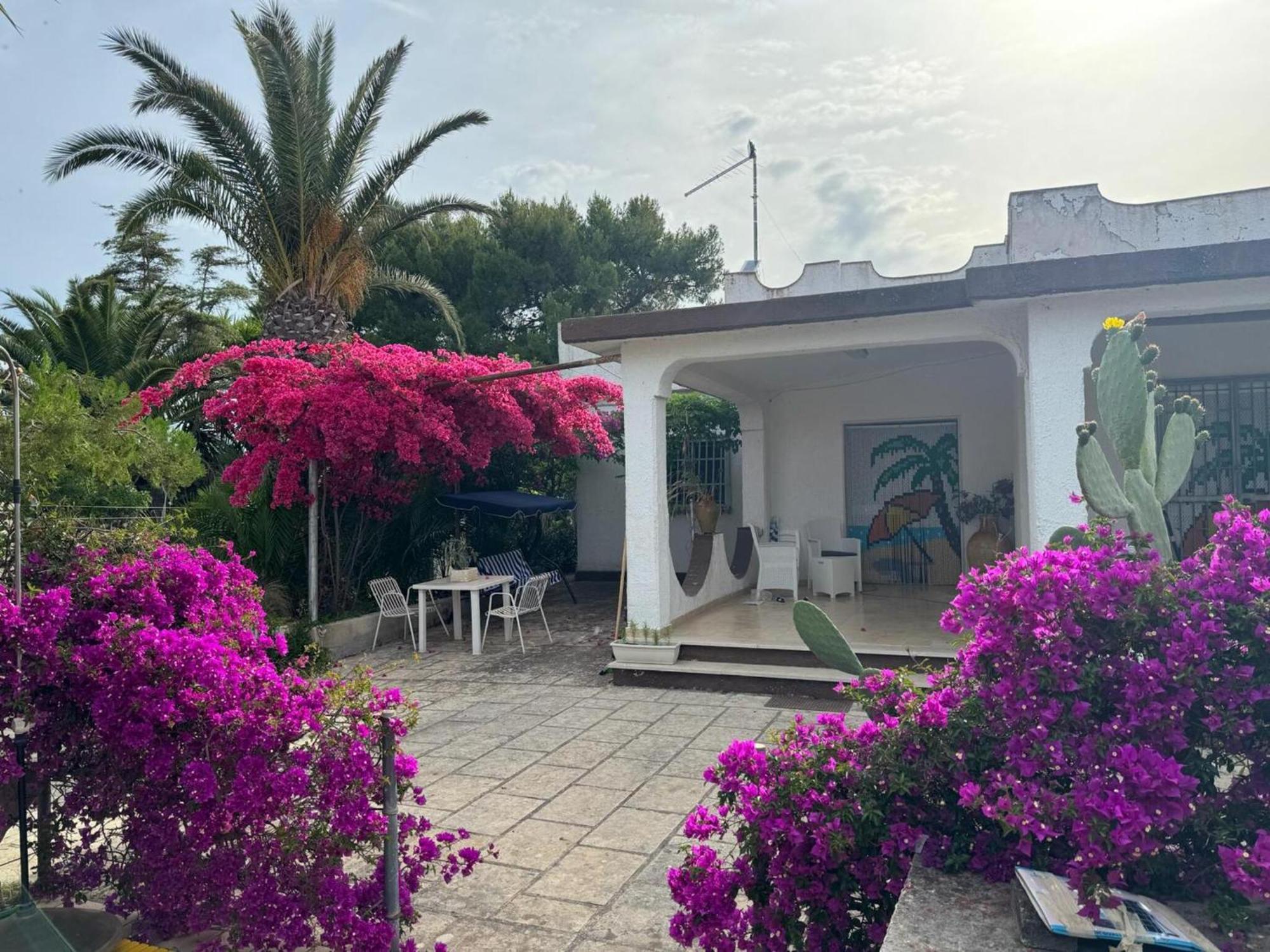 Villa Torretta - Mare Salento Marina di Lizzano Ngoại thất bức ảnh