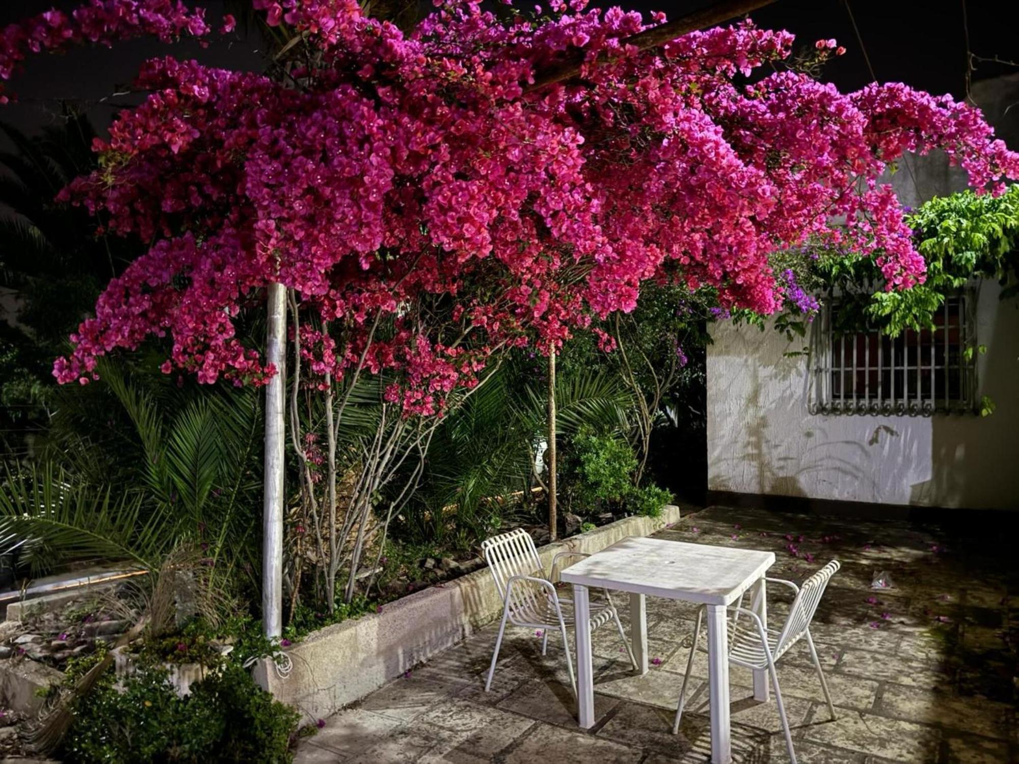 Villa Torretta - Mare Salento Marina di Lizzano Ngoại thất bức ảnh