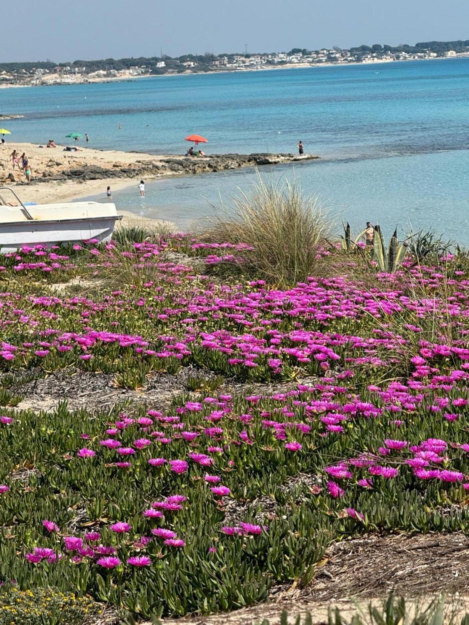 Villa Torretta - Mare Salento Marina di Lizzano Ngoại thất bức ảnh